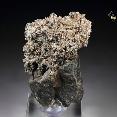 SILVER - SPINEL LAW TWIN