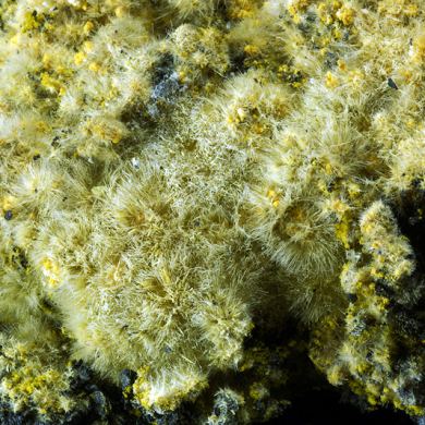 Pickeringite, Sideronatrite