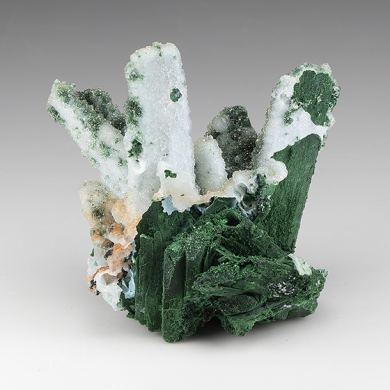 Chrysocolla pseudomorph with Malachite, Quartz