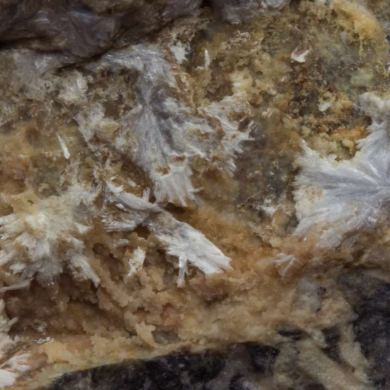 Manganohornesite (type locality) with Hausmannite and Dolomite