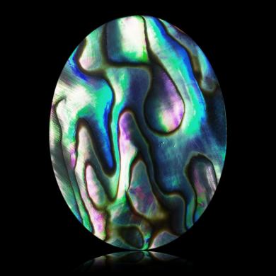 Abalone 46,60 ct 