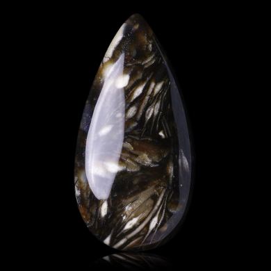 Fusulinid Fossils 25,00 ct 