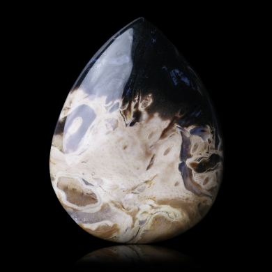 Fossil palm 32,00 ct 