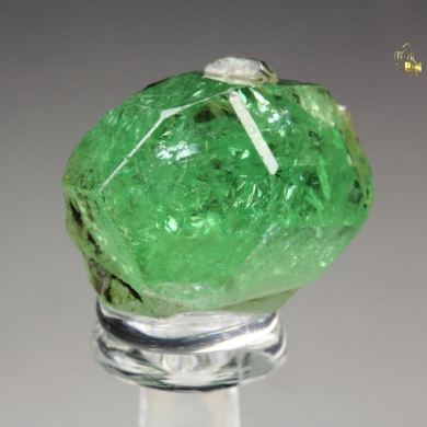 gem GARNET var. GROSSULAR var. TSAVORITE, DIOPSIDE