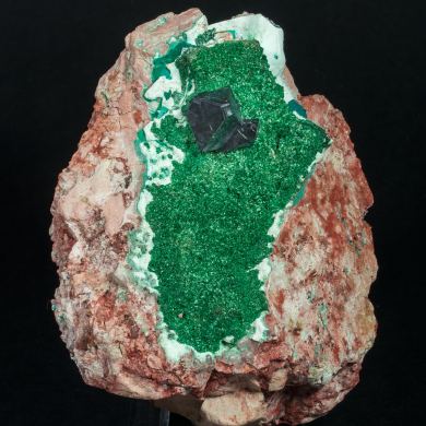 Cuprite on Malachite and Chrysocolla
