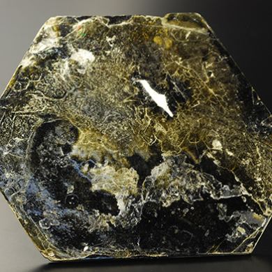 Phlogopite