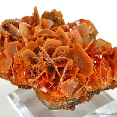 Wulfenite