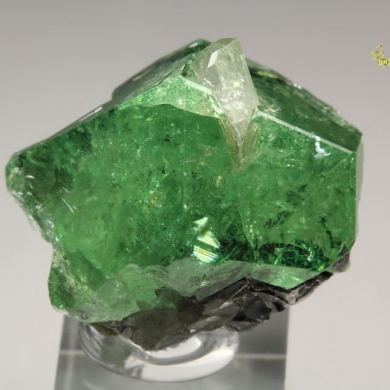gem GARNET var. GROSSULAR var. TSAVORITE, DIOPSIDE