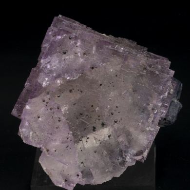 Fluorite with Galena