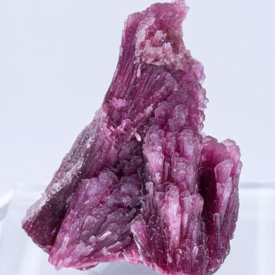 Elbaite-Schorl Series (variety 'mushroom')