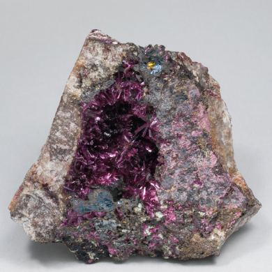 Erythrite with Phlogopite