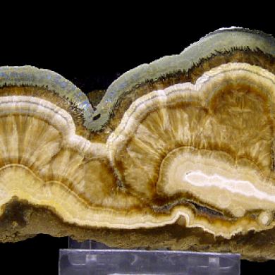 Baryte, marcasite