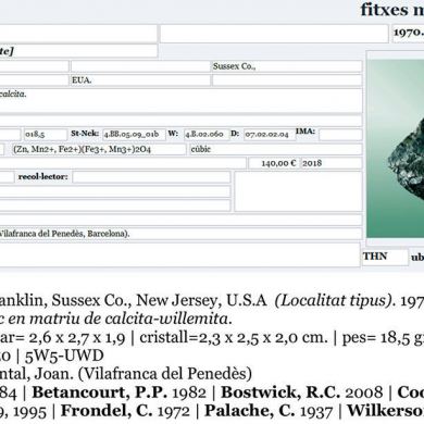 Franklinite with Calcite