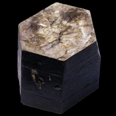 Phlogopite 