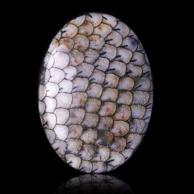Snakeskin Agate 15,12 ct 