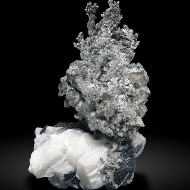 Allargentum after Dyscrasite with Sphalerite, Pyrargyrite and Schachnerite on Calcite