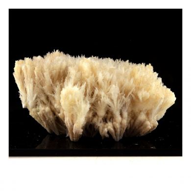 Gypsum. 210.30 ct.