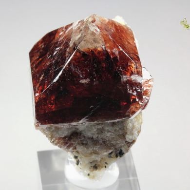 gemmy ZIRCON, BIOTITE