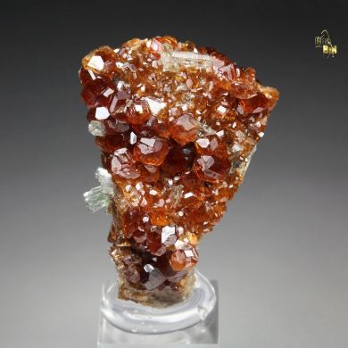 gem GARNET var. HESSONITE, DIOPSIDE