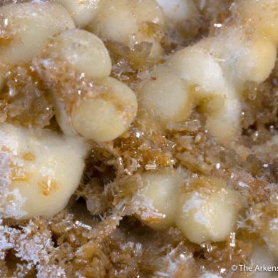 Mimetite with Smithsonite