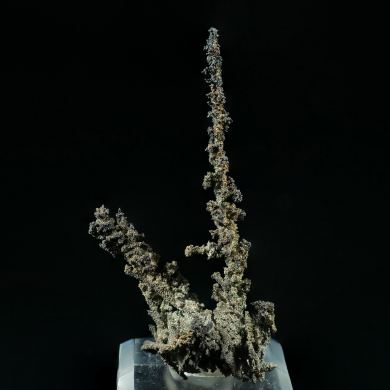 NATIVE SILVER - Australia