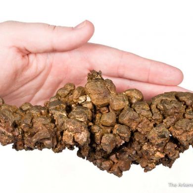 Copper (several generations)