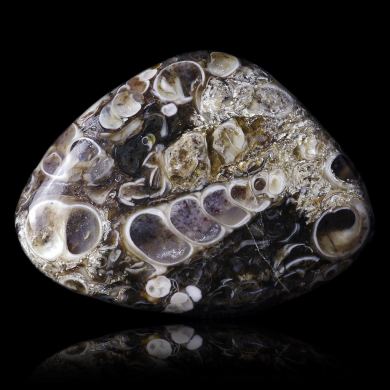 Turritella Agate 36,40 ct 