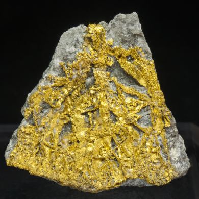 Gold with Quartz