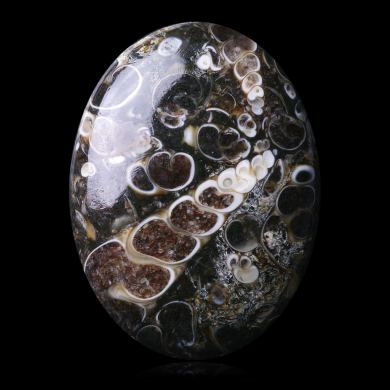 Turritella Agate 42,80 ct 