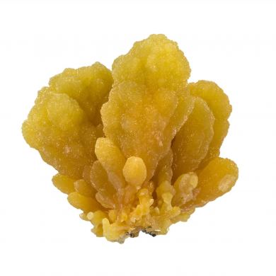 Mimetite