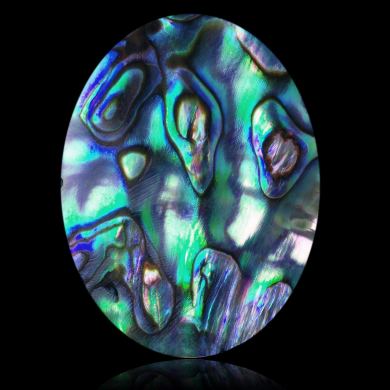 Abalone 42,10 ct 
