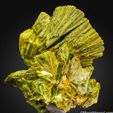 Autunite
