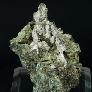Silver with Actinolite