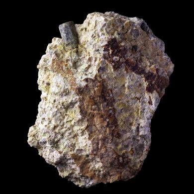 Pinite Blot-l'Eglise 