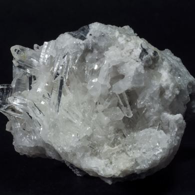 Quartz (japan law twin)