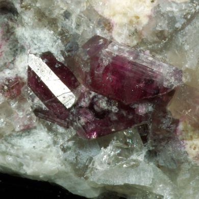 Liddicoatite