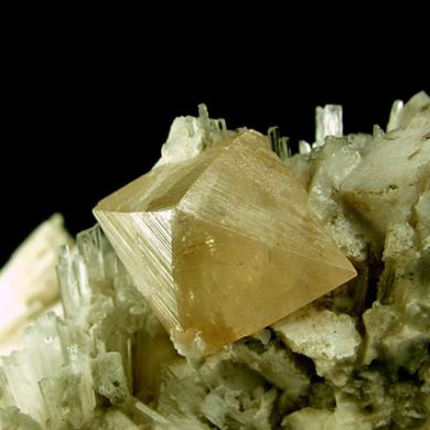 Powellite on Scolecite with Apophyllite